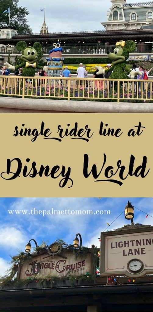 Pin Single Rider Lines Disney world