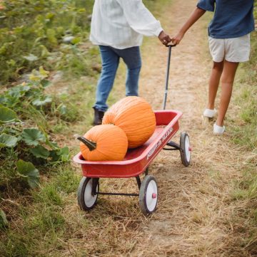 kids pulling pumpkins in wagon