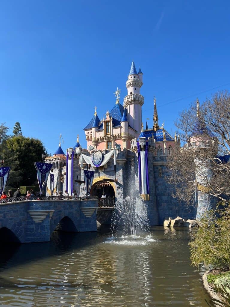 Disneyland castle
