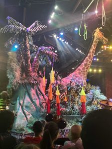Water Rides at Animal Kingdom - The Palmetto Mom