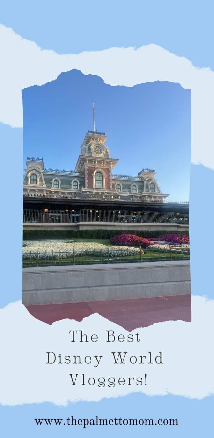 Best Disney World Vloggers The Palmetto Mom