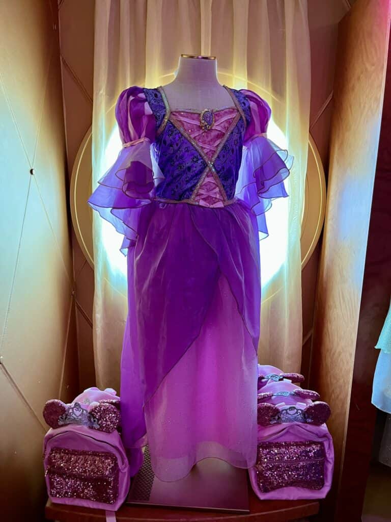 purple and pink dress on DCL