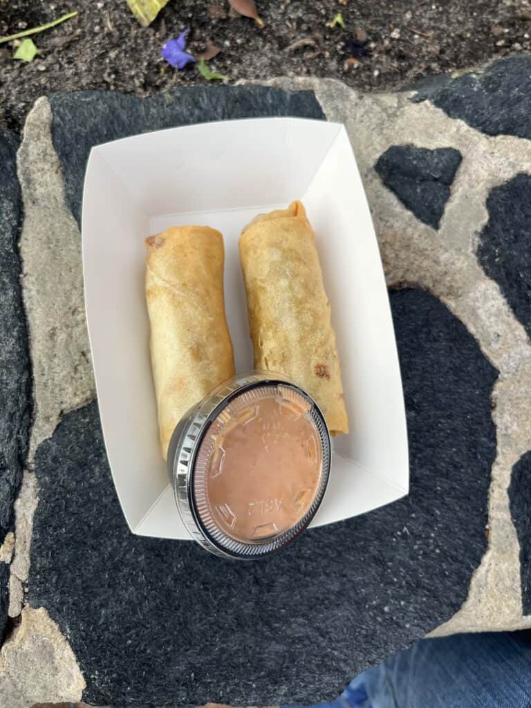 cheeseburger egg rolls at Magic Kingdom in container with sauce