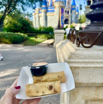 Magic Kingdom egg rolls with castle behind