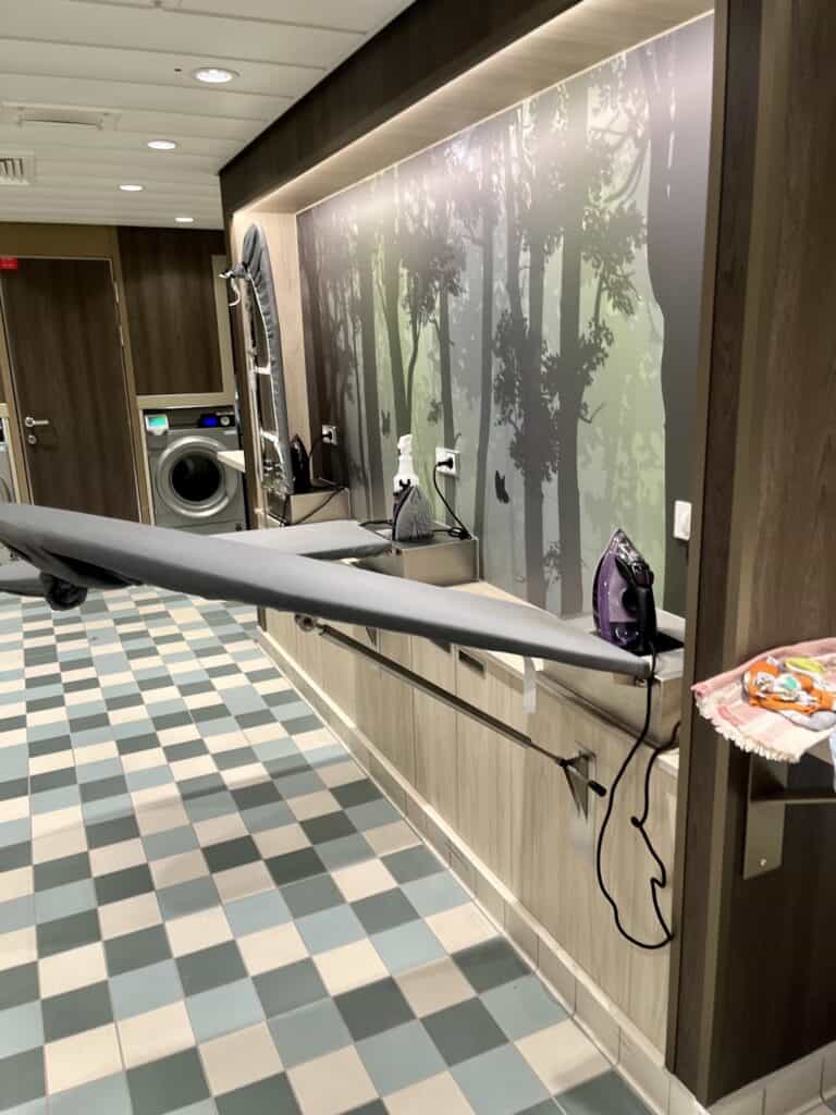 DCL ironing board and iron